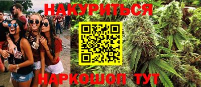 мдпв Владимир