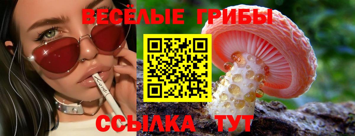 Димитровград  дарнет шоп  Вход с VPN  Галлюциногенные грибы мицелий  Псилоцибиновые грибы мицелий 