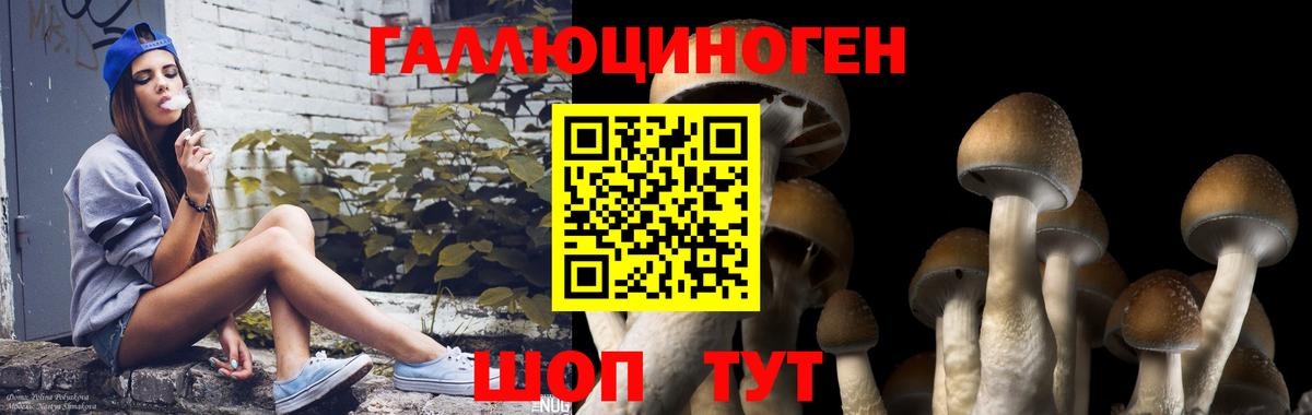 Галлюциногенные грибы ЛСД Димитровград